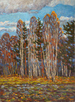 Никитин Г.С. (1925-1997)