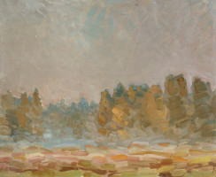 Никитин Г.С. (1925-1997)