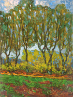 Никитин Г.С. (1925-1997)