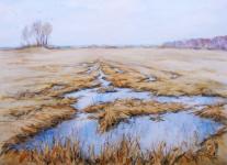 А.В. Овчинников. Отражение весны. 2007. Бумага, акварель. 48х63 см.